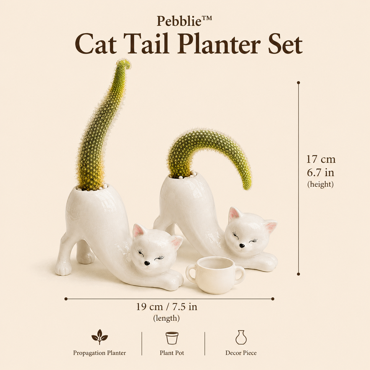 Pebblie™ Cat Stretch Planter