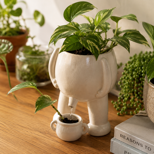 Pebblie™ Grow Buddy Set